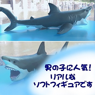 ビニールモデル　サメ